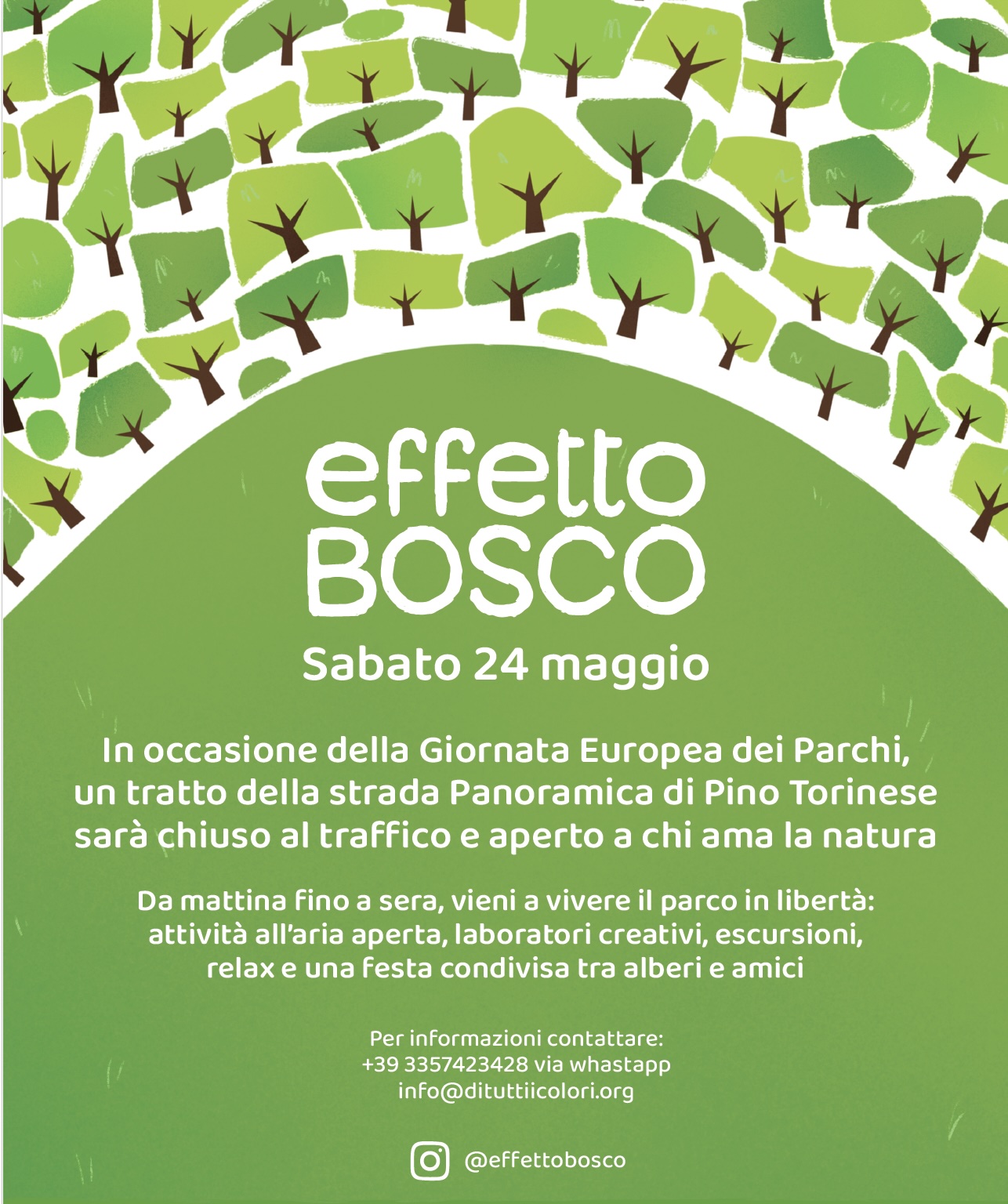 effetto bosco - 24 maggio 2025