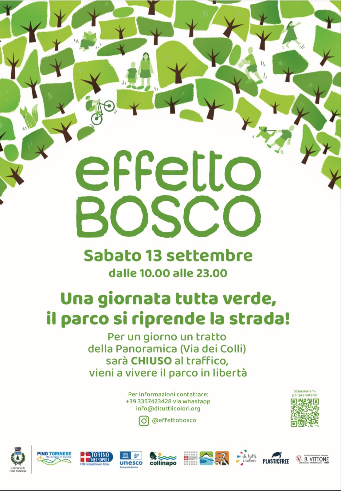 effettobosco-settembre2025